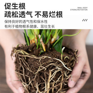 花沃里 通用营养土12L 泥炭土种花土种菜土有机复合肥料土壤花盆种植土