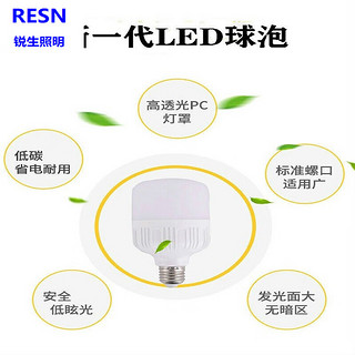 RESN LIGHTING 锐生照明 10W-螺口超亮1只