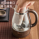 88VIP：Bear 小熊 煮茶器家用全自动蒸汽煮茶壶黑茶蒸茶器办公室小型玻璃泡茶壶