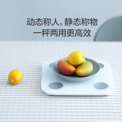 小米 高精准13项身体数据 体脂秤  白色