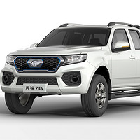 Great Wall Motors 长城汽车 风骏7 EV 23款 310km 精英型