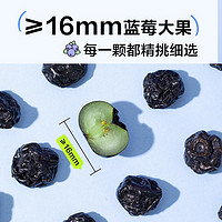 YANXUAN 网易严选 ≥16mm蓝莓大果制作，蓝莓果干