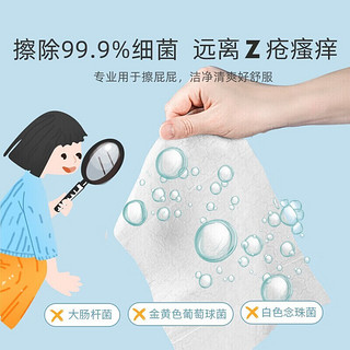 德佑 湿厕纸如厕湿巾儿童成人卫生湿纸巾可搭配抽纸使用 40抽*3包