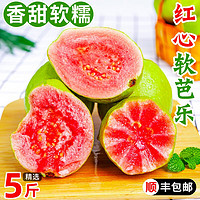 沙窝曙光 石榴 红心软芭乐5斤150g+