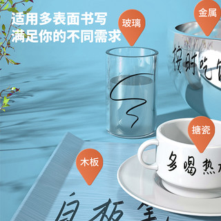 deli 得力 细头直液式可擦白板笔 办公教学会议白板笔 办公用品 黑色 S521黑