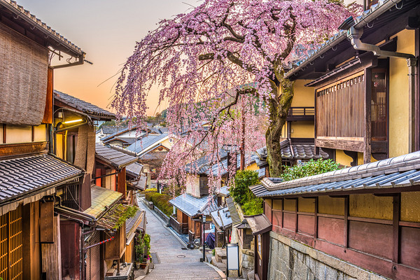 含往返机票+住宿！赏樱早鸟提前囤！日本大阪京都奈良6日5晚跟团游（含机票+5晚住宿）