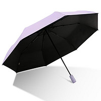 天堂 伞 全自动抗风太阳伞 风信紫