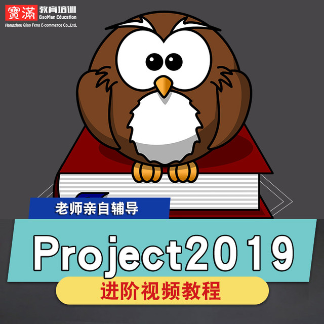 宝满 project2019视频教程项目管理pmp工程类实战培训教学自学在线课程