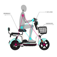 AIMA 爱玛 电动车新款可上牌比熊48V两轮电瓶车男女代步成人电动自行车