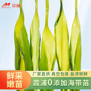Muhai 目海 海带嫩苗5袋共2500g
