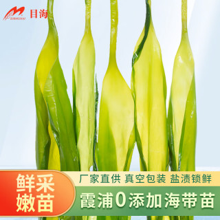 Muhai 目海 海带嫩苗5袋共2500g