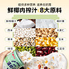 Nanguo 南国 植物蛋白谷物饮料低糖椰奶清补凉255gX8罐海南特产薏米绿豆