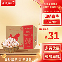 燕域田园 散养土鸡蛋30枚 新鲜初生蛋正宗农家笨鸡蛋谷物喂养单枚40g±5g