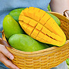 果迎鲜 芒果 5斤 海南金煌芒 新鲜水果 生鲜 芒果 生果需催熟