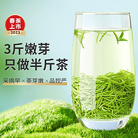 乐品乐茶 明前特级毛尖茶叶2023年新茶100g一件装自己喝
