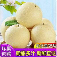 美得乐 plus会员：美得乐 河北皇冠梨 5斤（单果250g+）