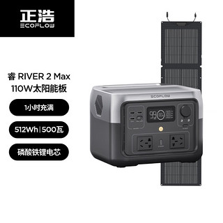 ECOFLOW 正浩EcoFlow 快充移动户外电源220V 500W自驾露营便携停电应急备用笔记本充电宝512Wh