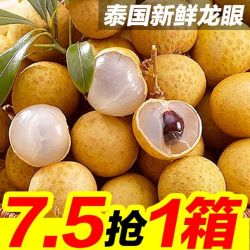 yolego 悠乐果 现摘现发泰国新鲜龙眼桂圆新鲜当季孕妇水果中大果2/5斤整箱包邮