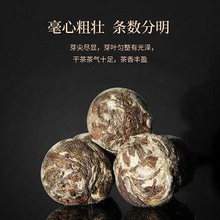 绿雪芽福鼎白茶 白牡丹 龙珠老白茶 旅行 商务办公茶40g