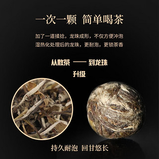 绿雪芽福鼎白茶 白牡丹 龙珠老白茶 旅行 商务办公茶40g