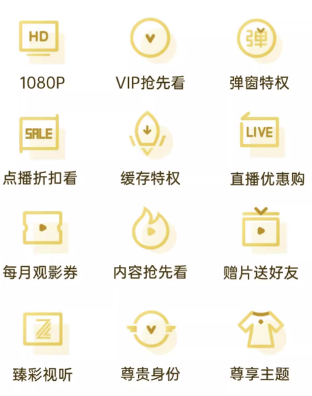 Tencent Video 腾讯视频 VIP会员年卡