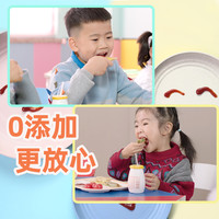 香复源 番茄酱儿童无添加防腐剂拌面酱料家用蕃茄酱沙司调味酱专用