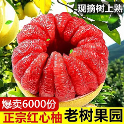 集南鲜 福建  精品红心柚子 2个装  4.5-5斤