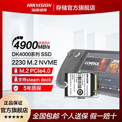 HIKVISION 海康威视 DK4000 2230 M.2 NVME 1TB SSD PCIe4.0 steam