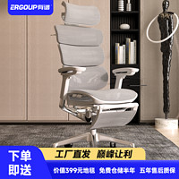 ERGOUP 有谱 Evolution2 PROMAX 电脑椅可调节工作椅电竞椅办公椅人体工学椅