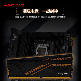 阿斯加特（Asgard）64GB(32GBx2)套装 DDR4 3200 台式机内存条 金伦加-黑橙甲 TUF联名款