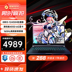 MECHREVO 机械革命 极光Pro/E 蛟龙16系列游戏本 i5丨16G｜512GB