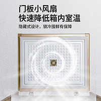 Royalstar荣事达微霜小冰柜家用小型冷冻冷藏两用商用冷柜