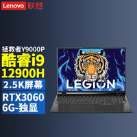 Lenovo/联想 2.5K超高清高色域专业电竞屏 游戏笔记本电脑 无机械硬盘 2560*1600 intel i9 灰色 165Hz 16GB 1TB RTX