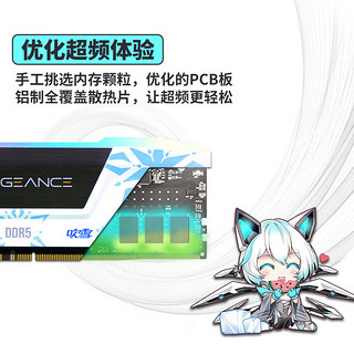 美商海盗船 32GB(16Gx2)套装 DDR5 6400 台式机内存条 复仇者 RGB灯条 ROG主板吹雪联名 C36