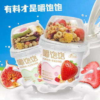  塘日塔格 生牛乳发酵 酸奶+水果谷物脆  箱装 180g 6盒