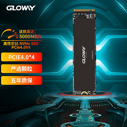 GLOWAY 光威 Professional M.2接口 SSD固态硬盘 2TB