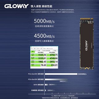 Professional NVMe M.2固态硬盘 2TB（PCIe 4.0 x4）