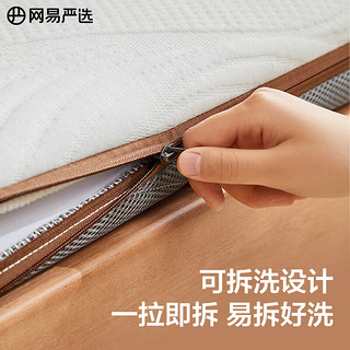 YANXUAN 网易严选 乳胶竹炭椰棕硬质薄床垫1.8米*2米