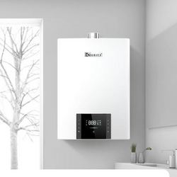 Rinnai 林内 零干扰系列 JSQ31-D06W 燃气热水器 16L