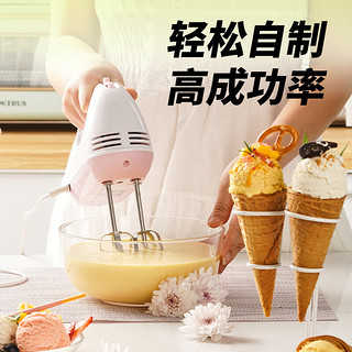 展艺 冰淇淋粉 手工自制家用雪糕粉冰棒甜筒材料 杨枝甘露口味 100g