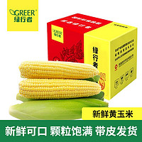 GREER 绿行者 现摘甜糯多汁黄玉米 2.5kg