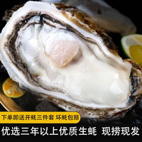 鲁禧 乳山生蚝鲜活特大牡蛎 山东地标产品 新鲜海蛎子整箱 刺身级生蚝 5XL号净重4.5斤装
