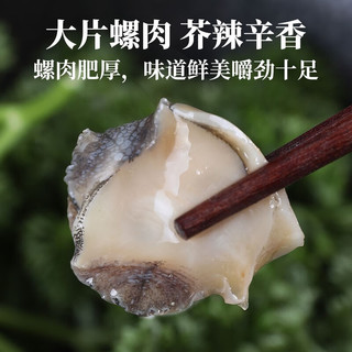 君之味芥末海螺片即食冷冻日料小菜海鲜罐头料理前菜下酒菜调味海螺片 芥末海螺片100g / 盒