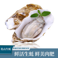 勋康海牡蛎生蚝乳山鲜活现捕生蚝高品质生蚝特大贝壳即食海鲜 约8-12个 净重4斤