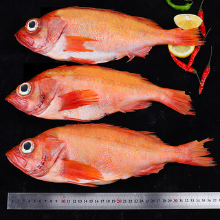 尊利渔 红石斑鱼冷冻 750-800g/条