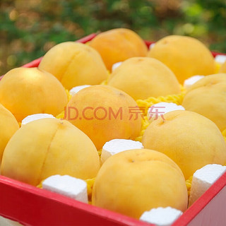 SMVP蒙阴黄金蜜桃 新鲜黄毛桃子 当季时令水果 精品黄桃5斤装 净重4.5斤 约9-14个