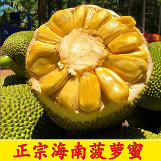 亿喜农 海南菠萝蜜一整个当季孕妇新鲜热带水果干苞黄肉波罗蜜整箱超香甜 20-25斤优选