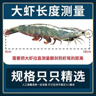 冰鲜部族 黄海大虾 4.2斤 16-18厘米
