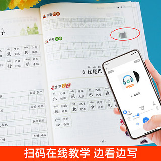 小学语文同步练字帖一二三四五六年级上册下册全套12册练习字帖笔画笔顺练语文生字同步描红人教版专用练习写字硬笔书法本贴楷书