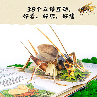 昆虫记：立体书